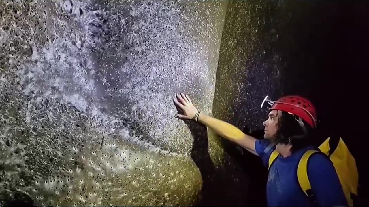 World's Largest Spider Web