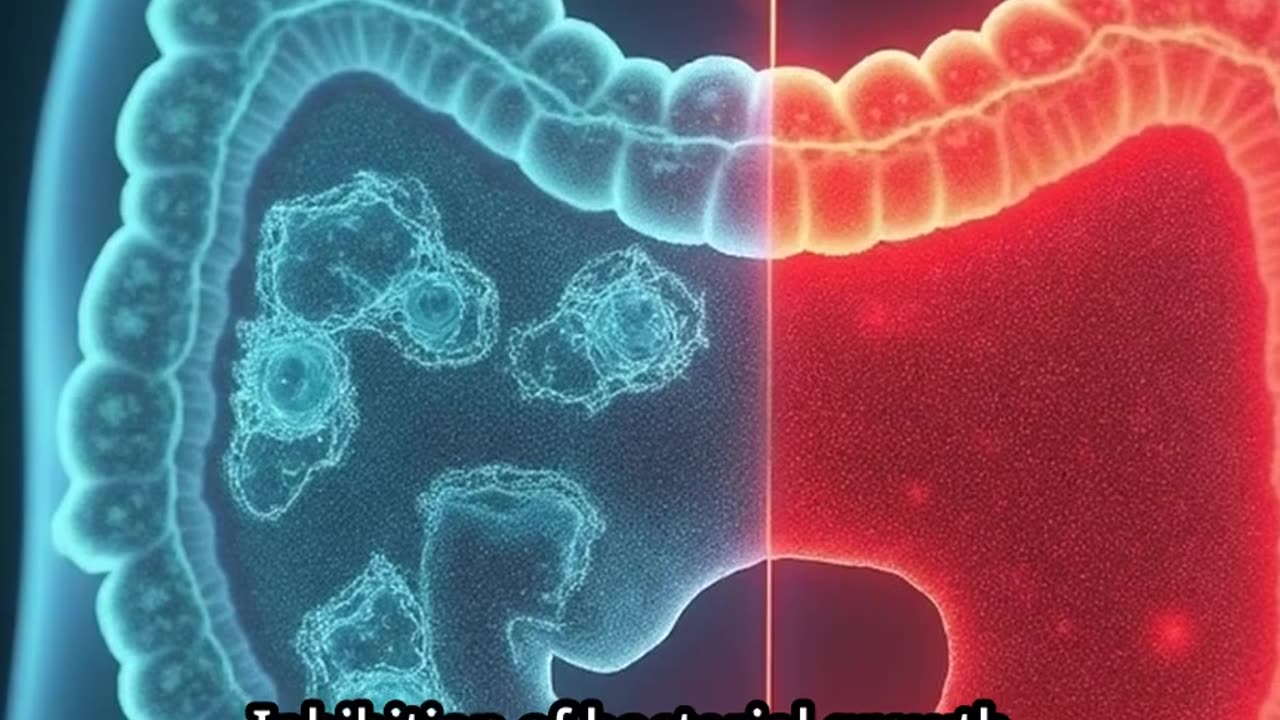 Bladder Health in Women: The Role of Mimosa Pudica