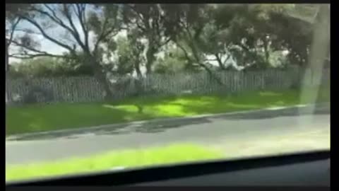 Major Power Plays on the Horizon: Russia, Ukraine, Iran, Israel – NINO 8/14/2025