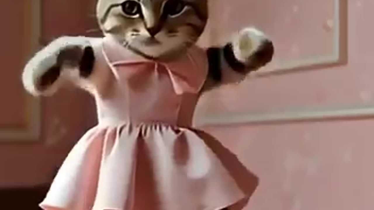 Dancing Cat