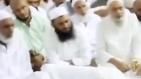اذان کے وقت کتے کیوں روتے ہیں