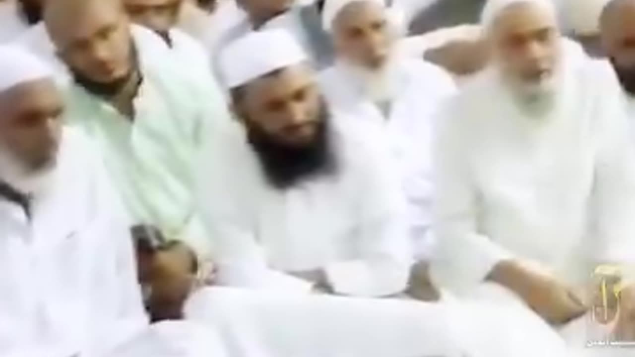 اذان کے وقت کتے کیوں روتے ہیں
