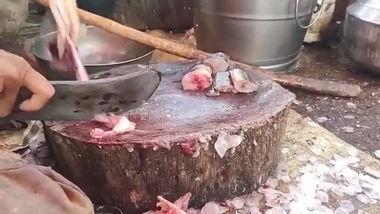 Amazing Fish Cutting Market