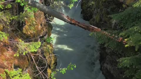 Beautiful World - Beautiful places in the World #shorts #shortsvideo #NaturalVideos #naturelover