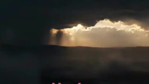 Stay Awake. Stay Anchored. | Final Warning from The Tower of Babel | Youth Defender Shorts