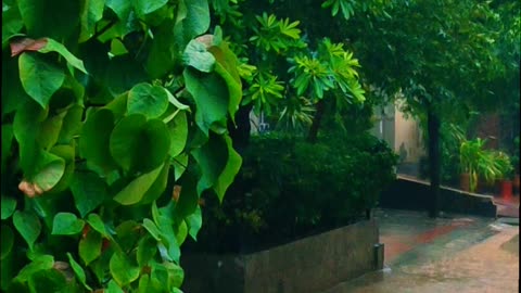 Rim Jhim Rim Jhim🌧️🌨️