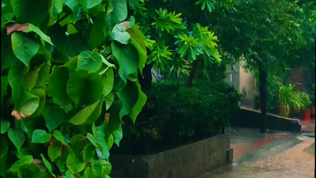 Rim Jhim Rim Jhim🌧️🌨️