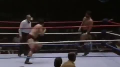 WWF MSG Jan 23 1984