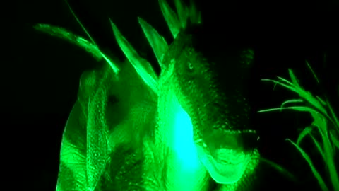 Stegosaurus animatronic again