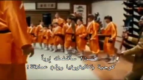 Clips from Jackie Chan movies