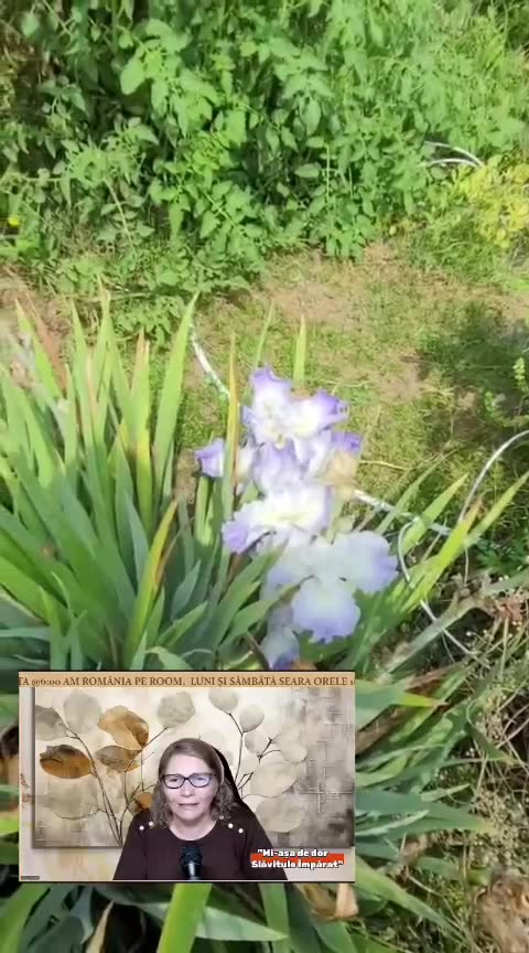 OLTEA HOZAN POEZIA -MI-AȘA DE DOR- CALEA CĂTRE RAI- #live #editată de Valentin Trif #poetry