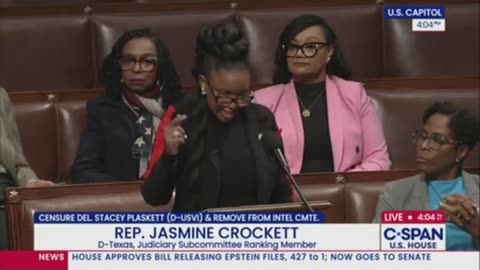 Jasmine Crockett’s Attempt To Burn Lee Zeldin Over Epstein Blows Up In Her Face