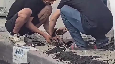 Homeless seize LA power