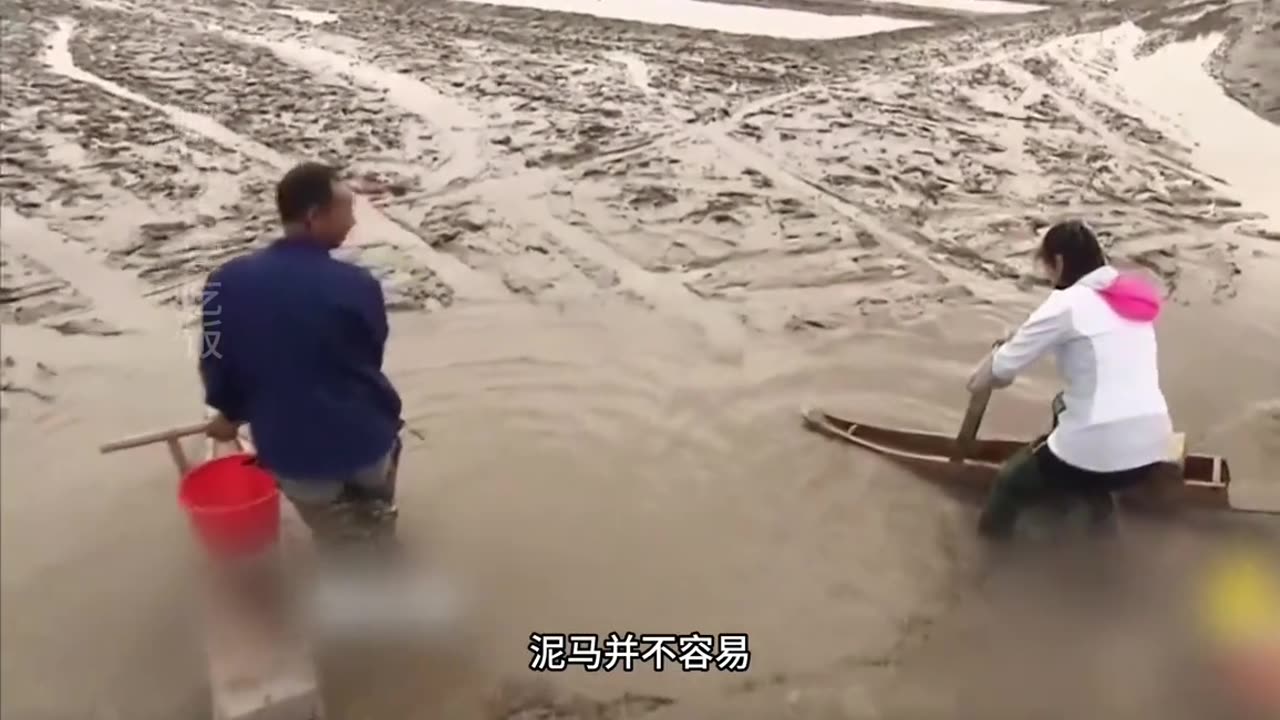 The wisdom of the Chinese people, a device that can walk on mud and swamps, a mud horse!