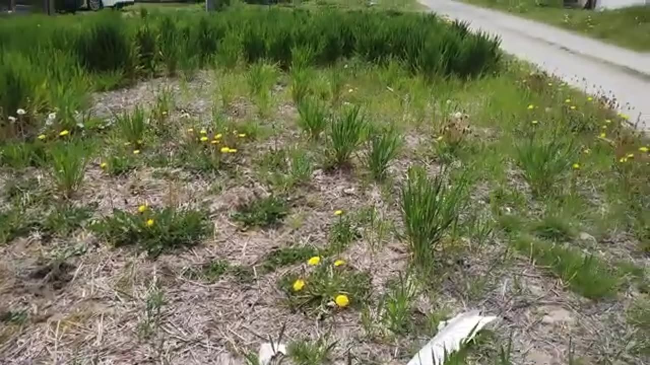 30_Security Concerns Of Vacant Lots