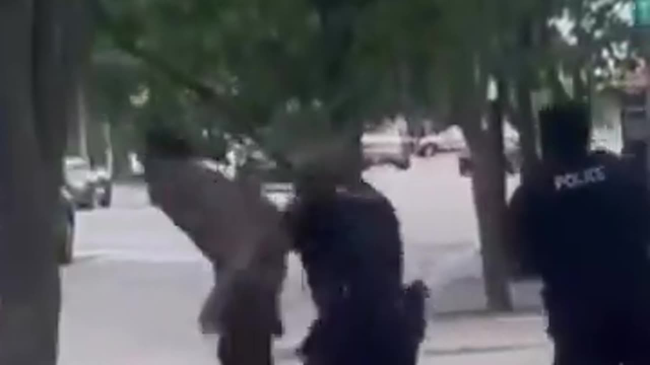 Diversity enriching hearts and minds with violence