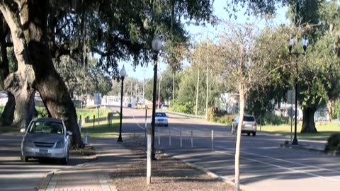 No Kings Protest Zephyrhills, Florida