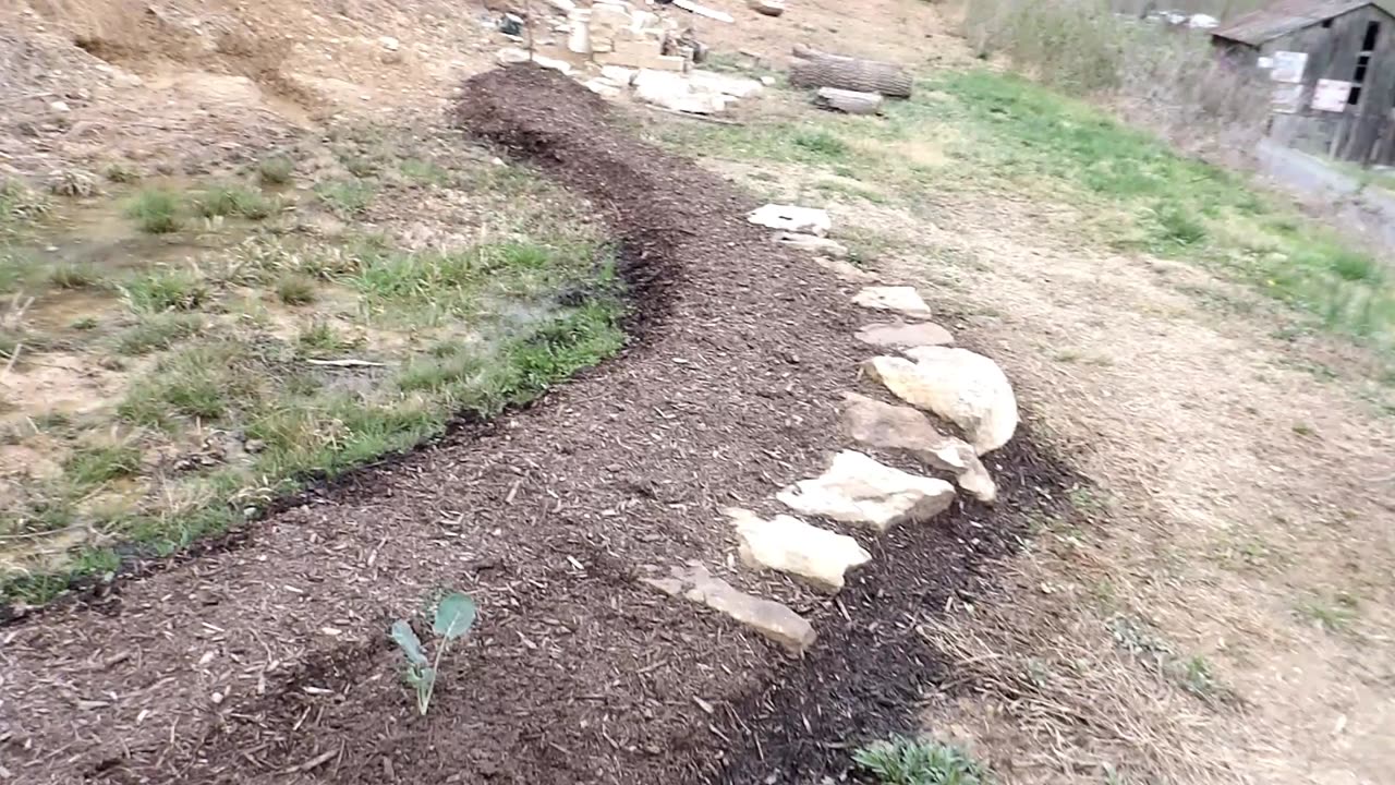 Flock it Farm: Farm update