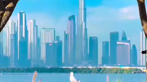 Dubai 🇦🇪