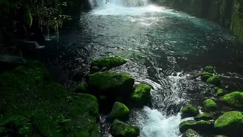 a criaçao do mundo.mp4