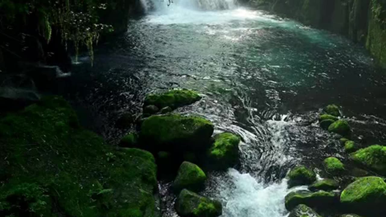 a criaçao do mundo.mp4