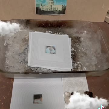 Tim Rifat TikTok Videos