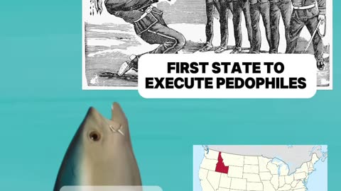 Idaho has become the first state to authorize death by firing squad for convicted pedophiles