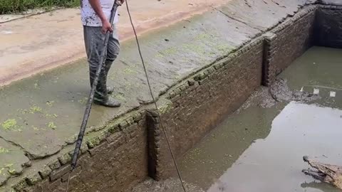 New energy voltage is not enough, can't handle this crocodile