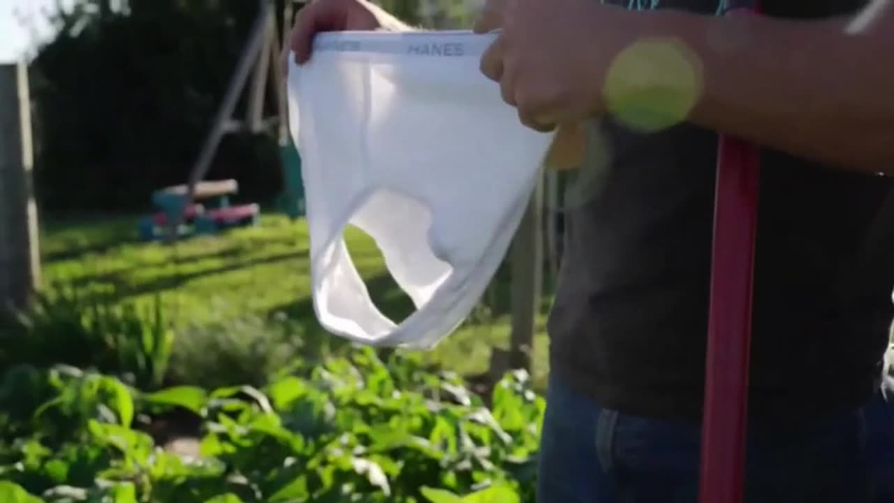 Common Ground - Tonight