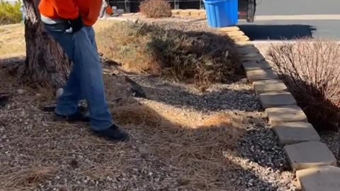 Boss Misses the Jump