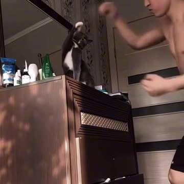 Sparring partner 😂