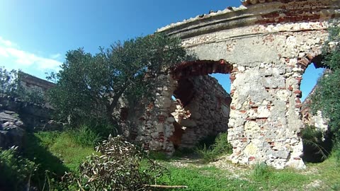 Omar Khayyam - Vinul Eliberator