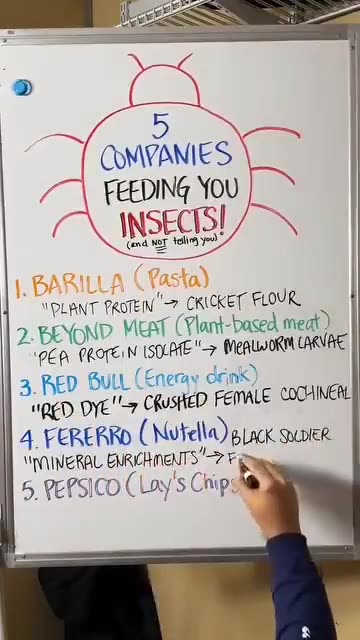 List of 5 companies feeding us insects.