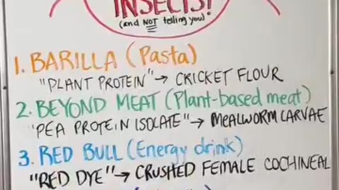 List of 5 companies feeding us insects.