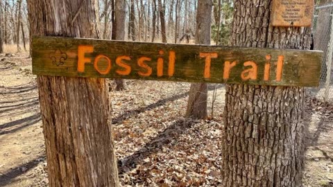 Fossil Finds and Fort Gibson Lake Adventures: Exploring Sequoyah State Park