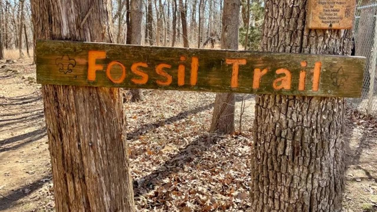 Fossil Finds and Fort Gibson Lake Adventures: Exploring Sequoyah State Park