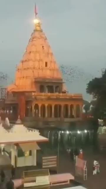 😲🤑😰😱😱😱