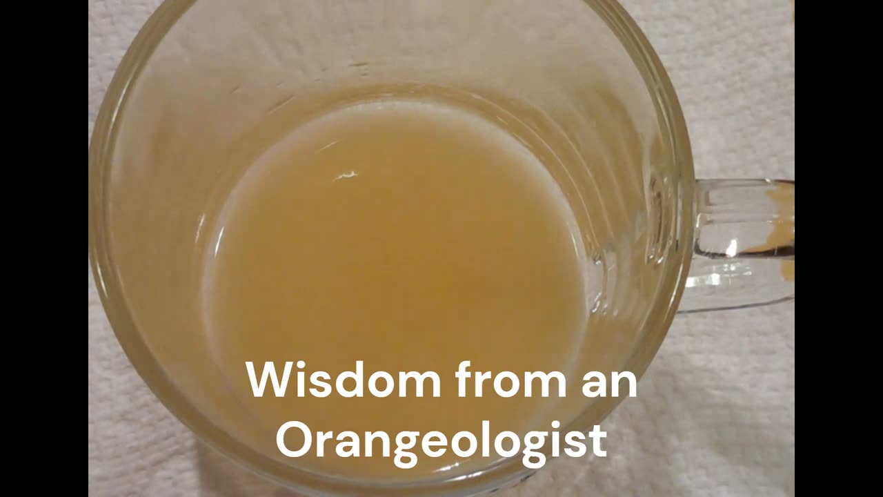 Fresh Squeeze ORGANIC Valencia OJ Looks