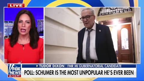 Chuck Schumer and Nancy Pelosi DESTROYED The Democrat Party