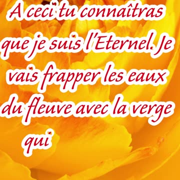 "Le Fleuve Devient Sang : Le Premier Signe de Dieu en Égypte" Exode 7;17 #shorts #youtube #ytshorts