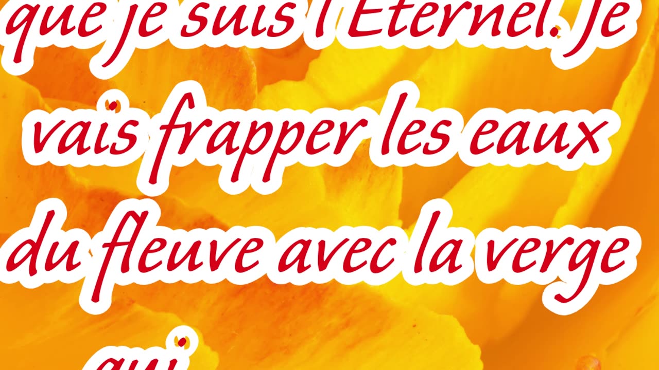 "Le Fleuve Devient Sang : Le Premier Signe de Dieu en Égypte" Exode 7;17 #shorts #youtube #ytshorts