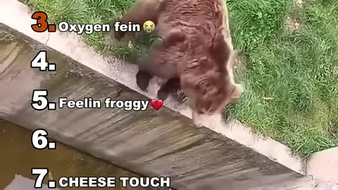 When your pet has more personality than your friends!