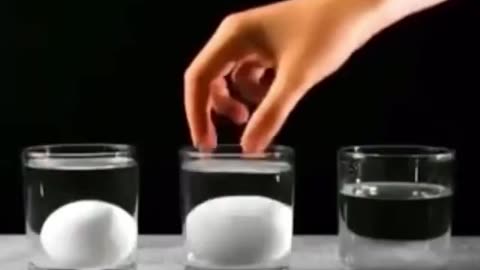 THIS IS HOW TO TELL HOW FRESH YOUR EGGS ARE