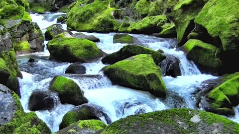1 Hour of Relaxing Guitar Music with Forest Stream Sounds – Calming Nature Ambience