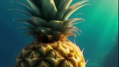 no fundo do mar 2.mp4