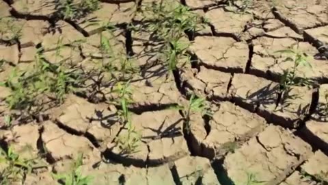 La hidrovía Paraná-Paraguay: un río de oportunidades y desafíos