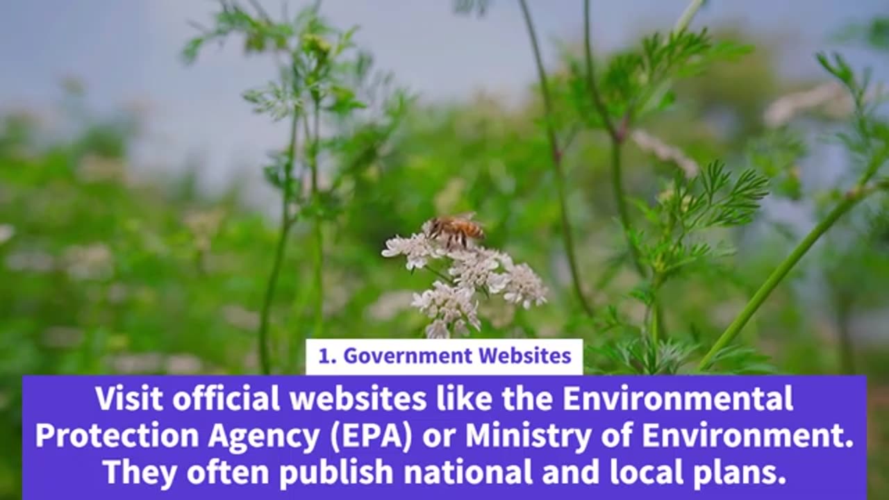 How to Find Environmental Protection Plans