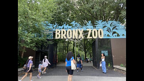 Bronx Zoo (NYC, USA) 1