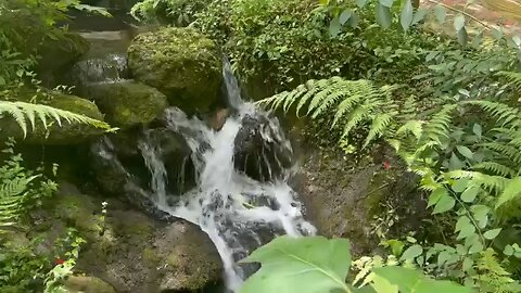 Relaxing waterfall