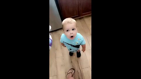 The Great Whipped Cream Conspiracy: A Kiddo, a Corgi, and a Cloud of Delight